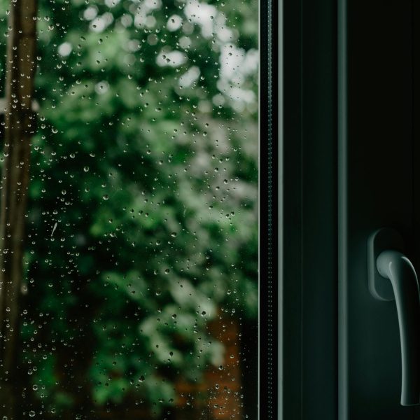 A window with raindrops blurring the view of green vegetation outside.